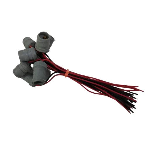 HOLDER [CAPSULE]