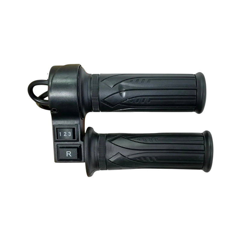 EV Throttle (PLS 123+R)