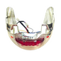 BACKLIGHT RED ACTVA CS MODL